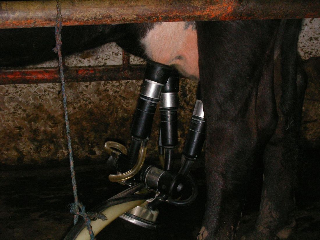 Product trials in the field